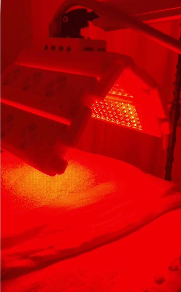 template--18139706425401__image_with_text_UizfJh